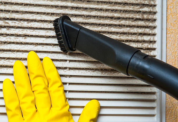 Air Duct Mold Removal in Fort Belknap Agency, MT